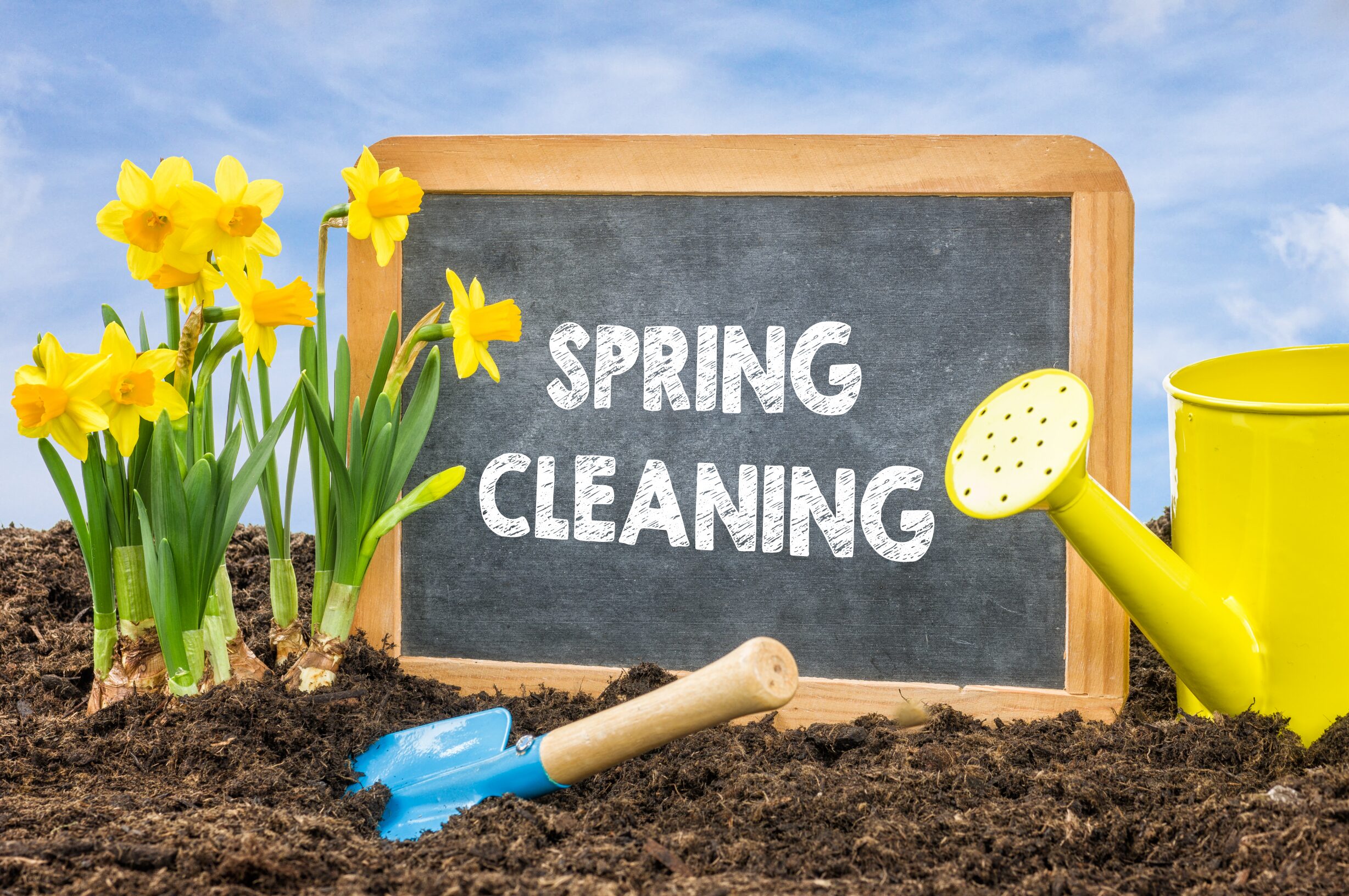 Spring Cleaning Blog Image