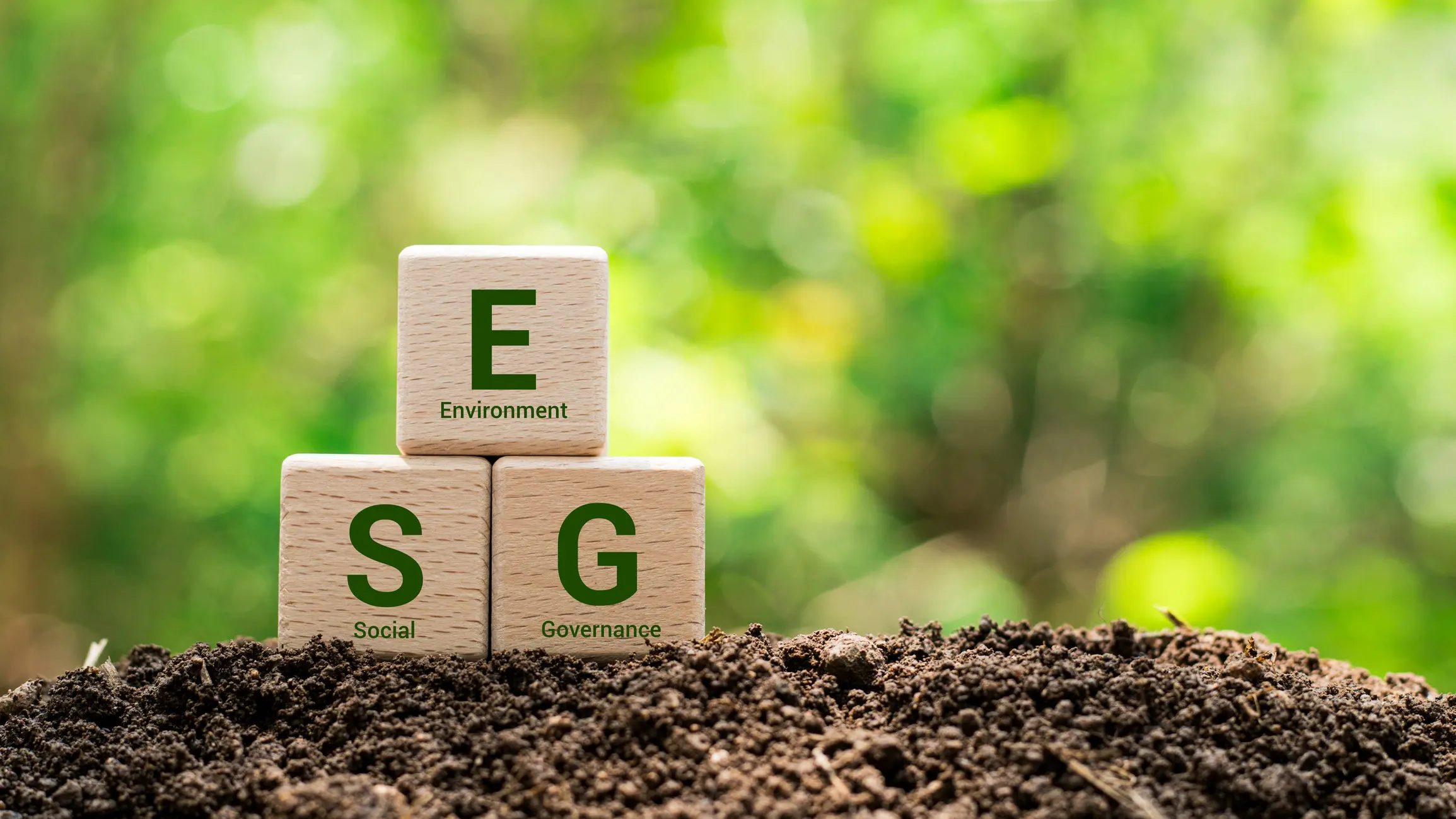 ESG